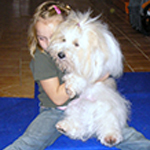 COTON DE TULEAR